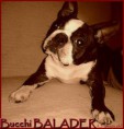 /album/fotogalerie-bucchi/bucchi-2-5roku-jpg/